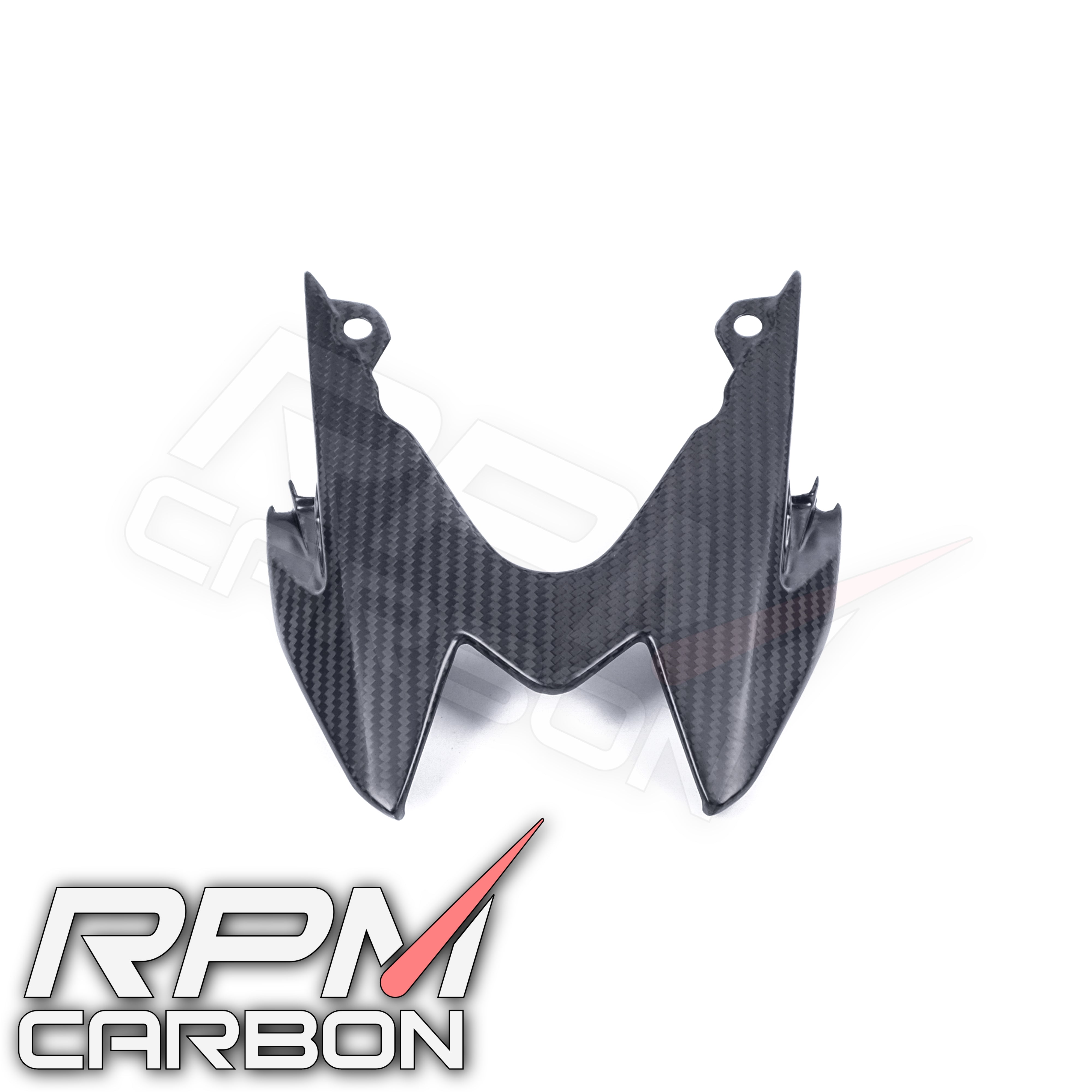 BMW S1000RR S1000R Carbon Fiber Tail Light Cover
