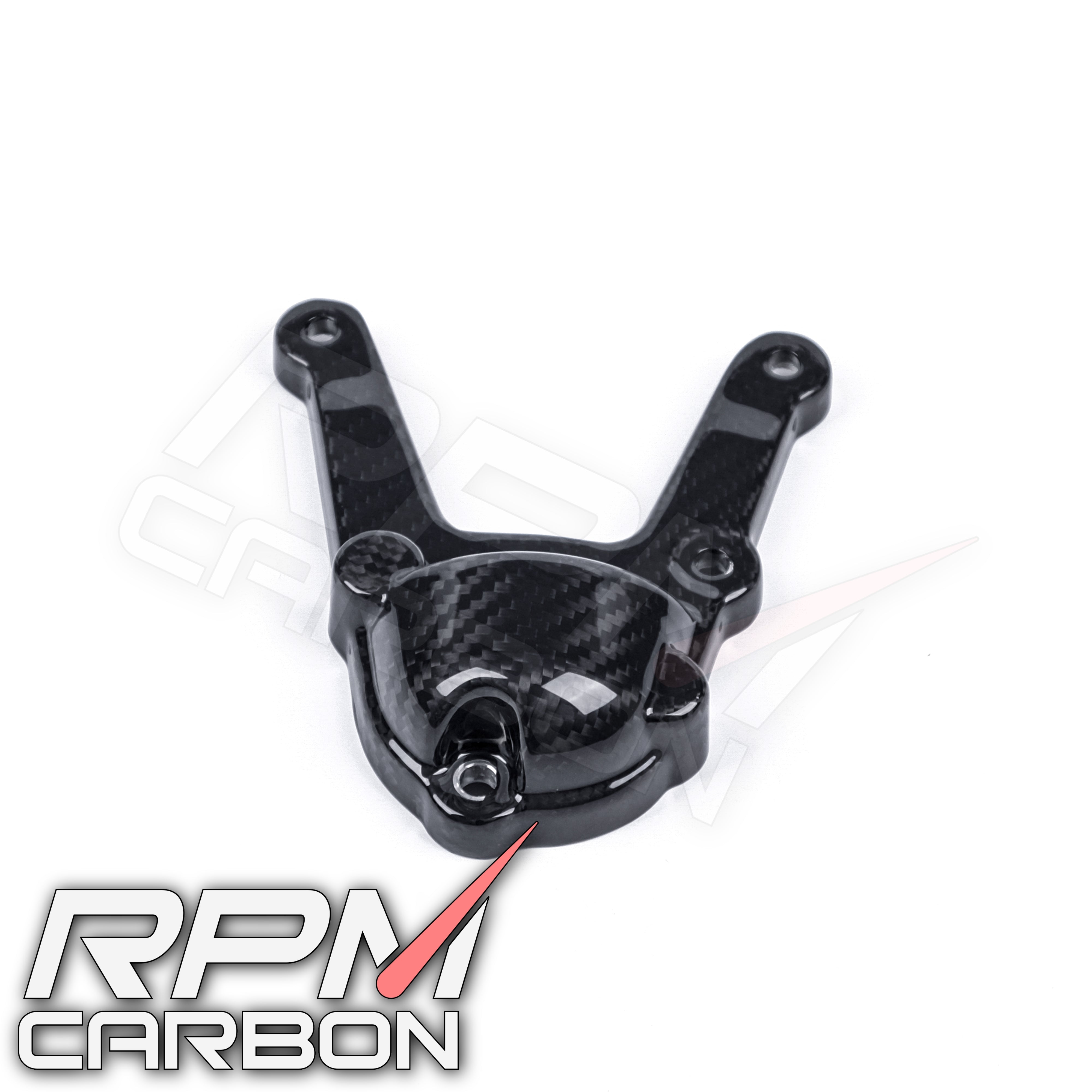 BMW S1000RR 2015-2019 Carbon Fiber Engine Cover #1