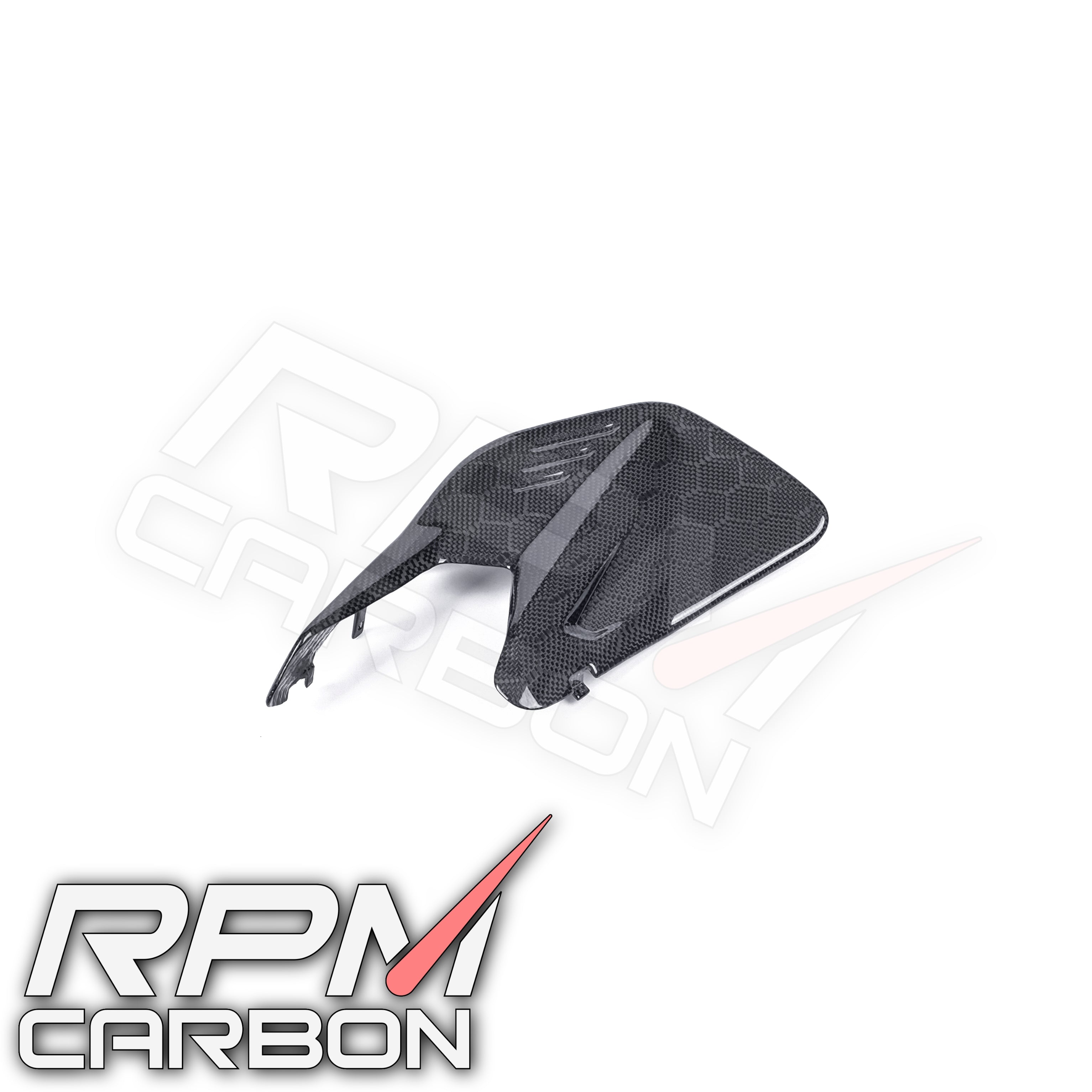 Ducati Panigale V4 / Streetfighter V4 Carbon Swingarm Infill