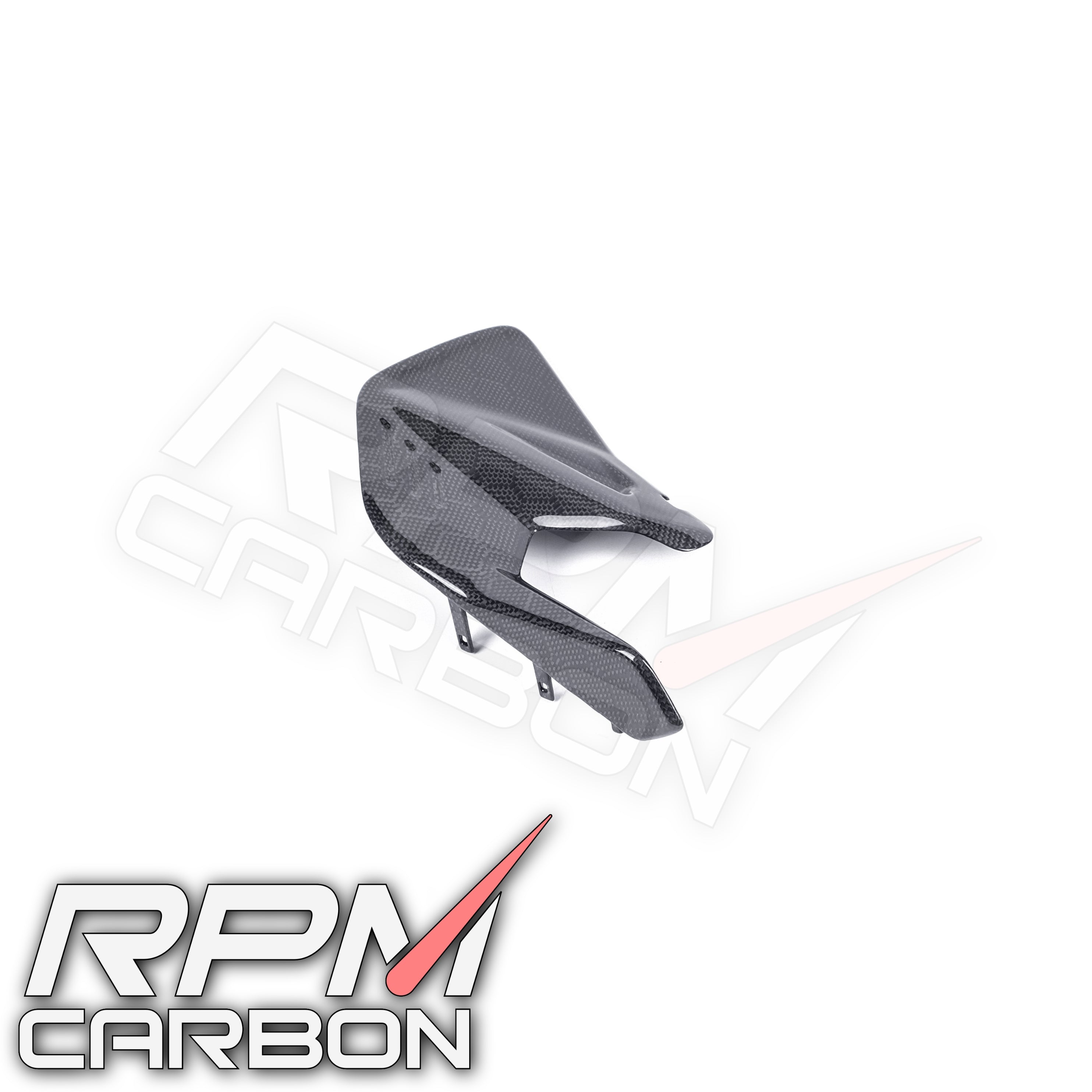 Ducati Panigale V4 / Streetfighter V4 Carbon Swingarm Infill