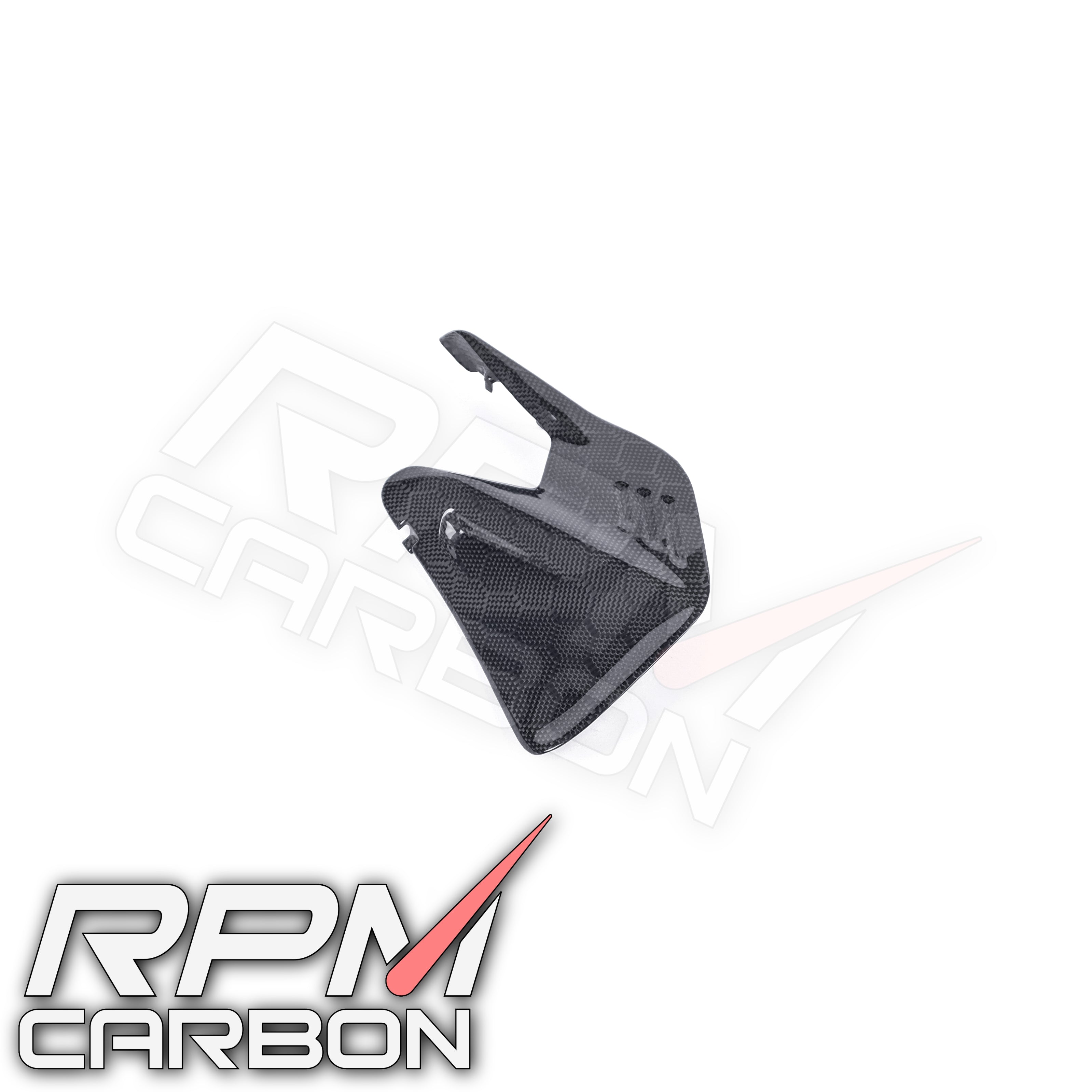 Ducati Panigale V4 / Streetfighter V4 Carbon Swingarm Infill