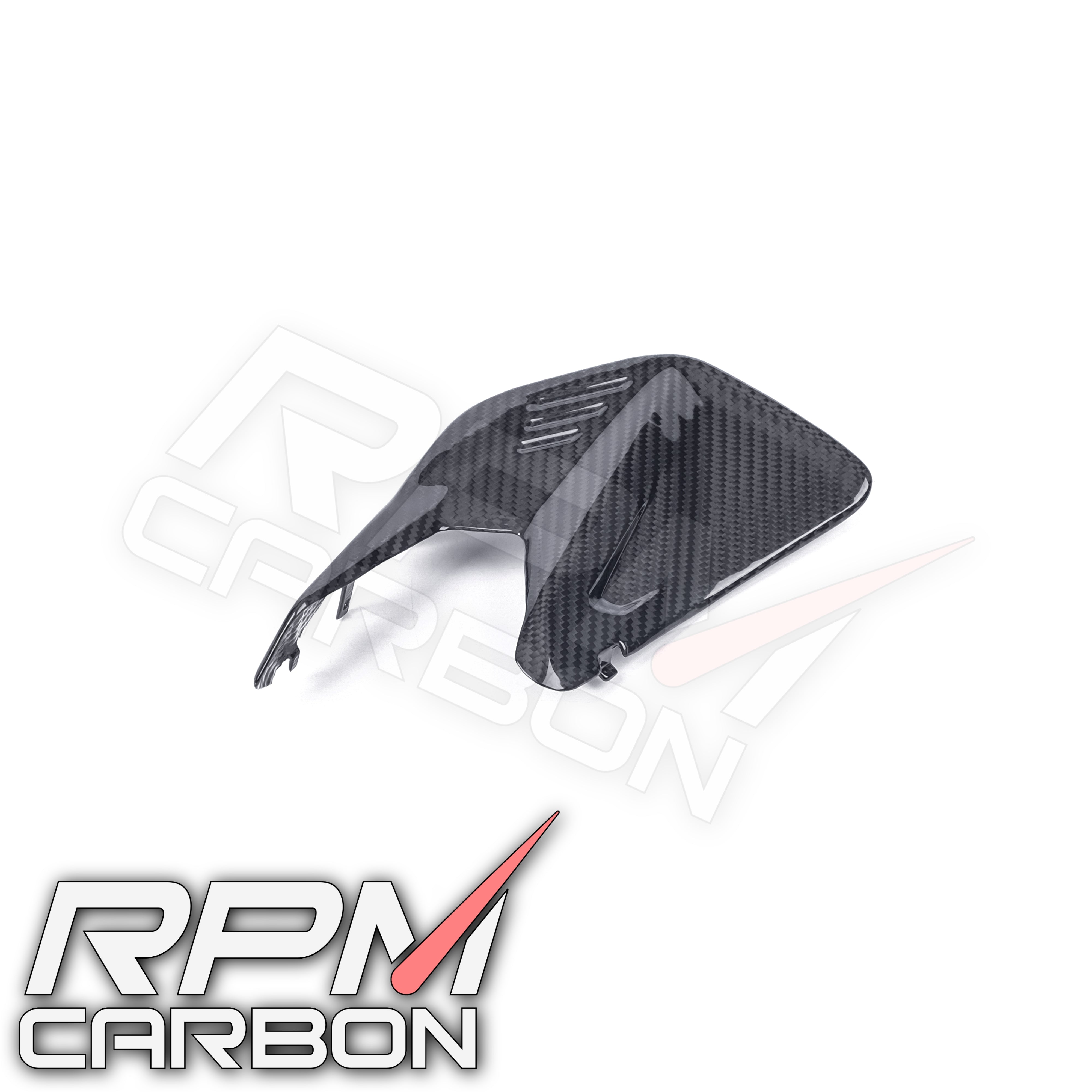 Ducati Panigale V4 / Streetfighter V4 Carbon Swingarm Infill