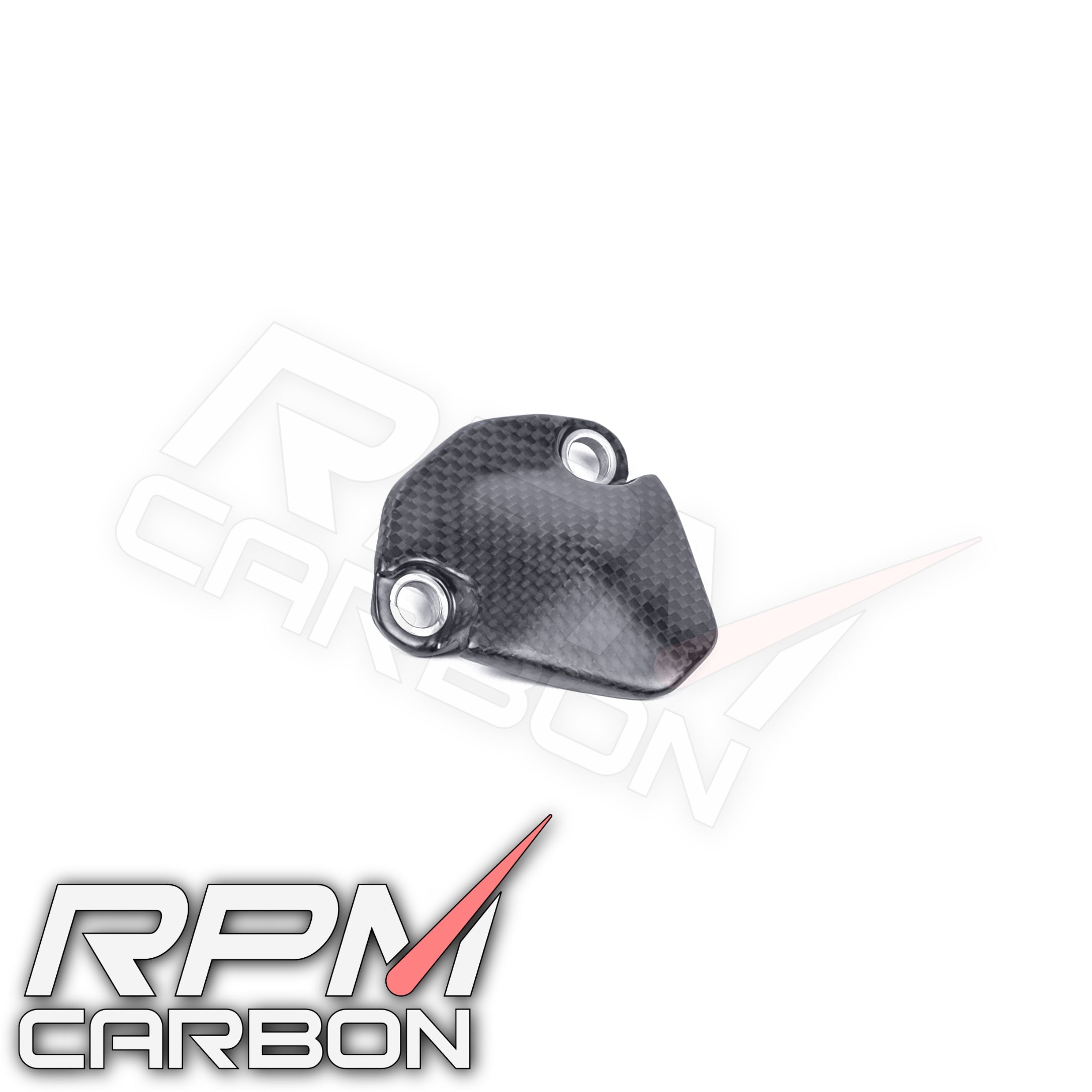 Ducati Panigale V4 Carbon Swingarm Inner Cover