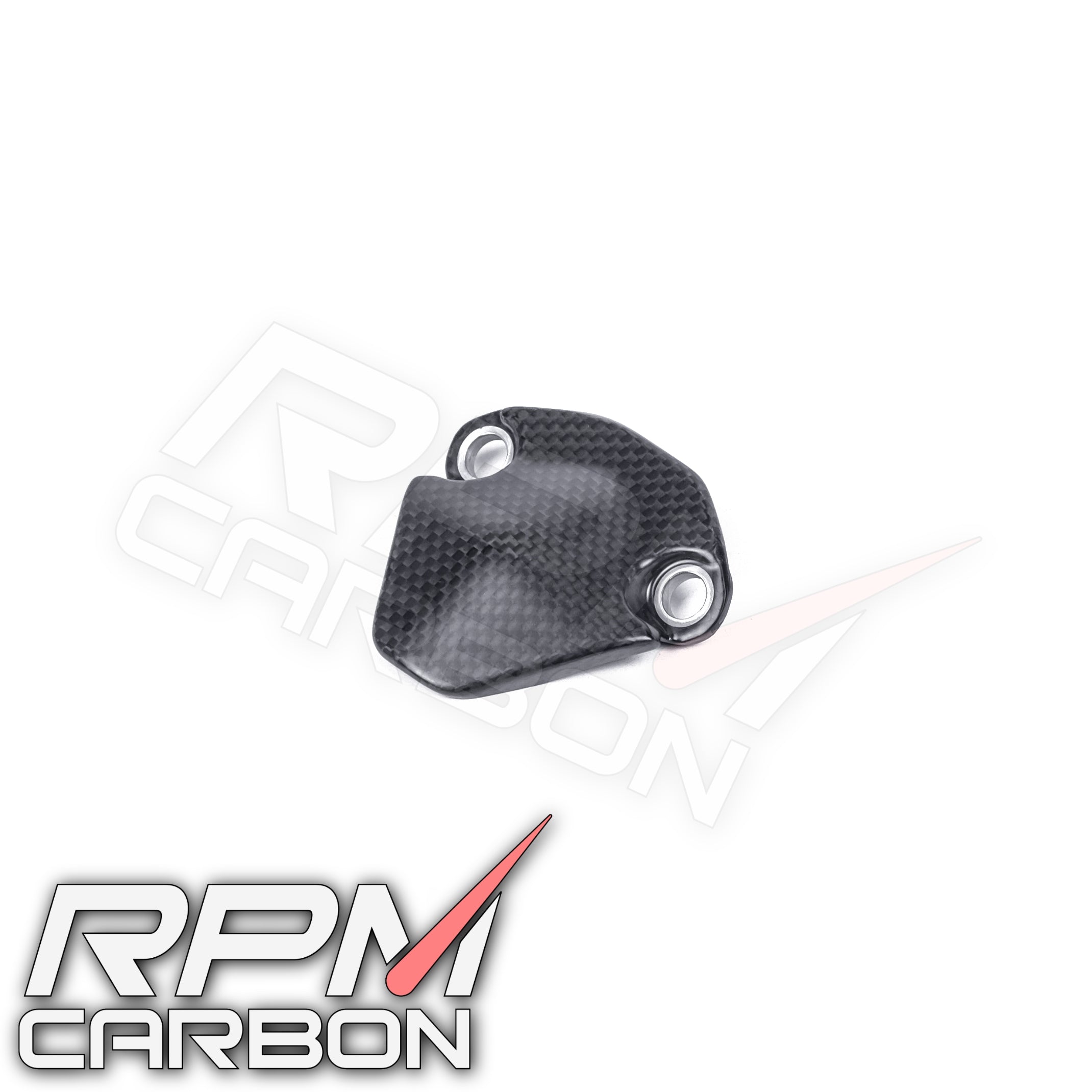 Ducati Panigale V4 Carbon Swingarm Inner Cover