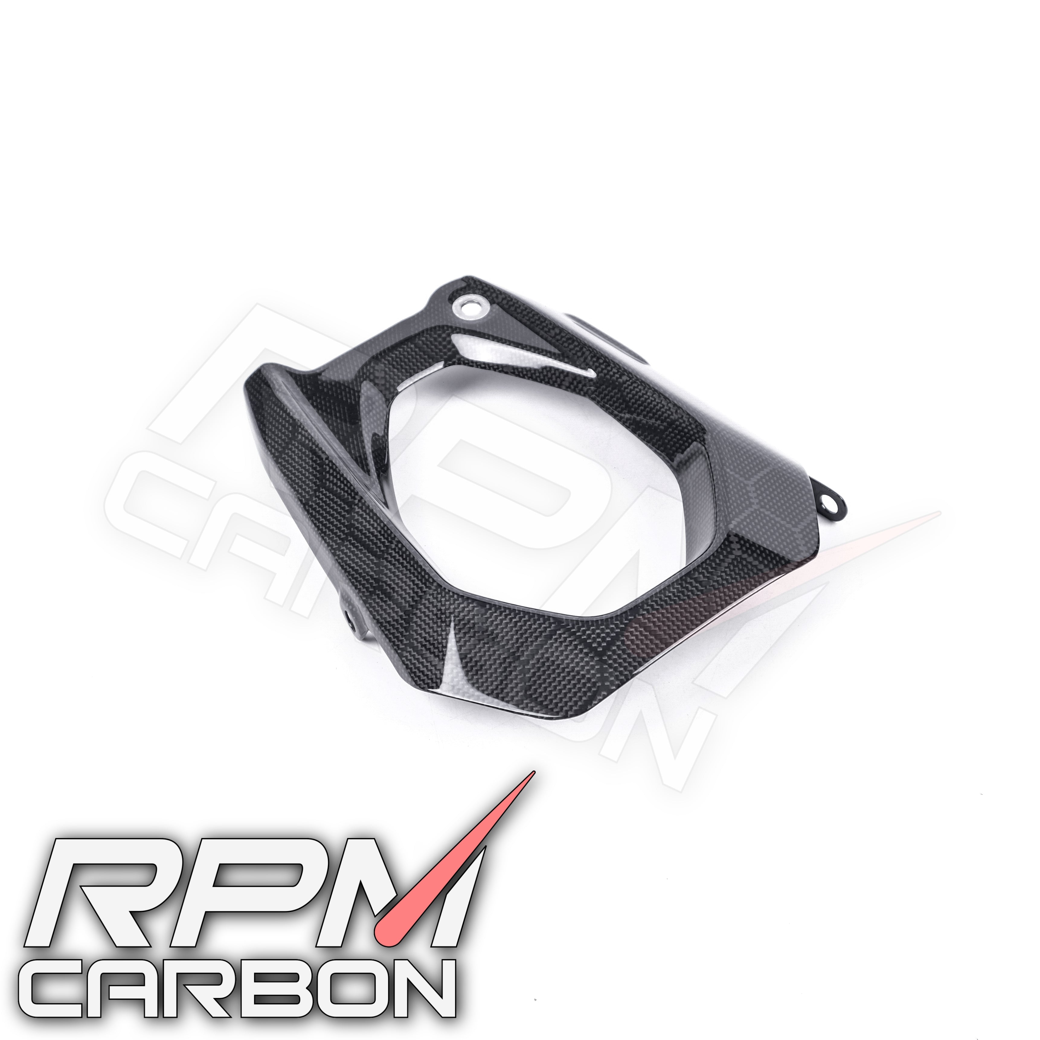Ducati Panigale V4 Carbon Swingarm Cover Left (DP Version)