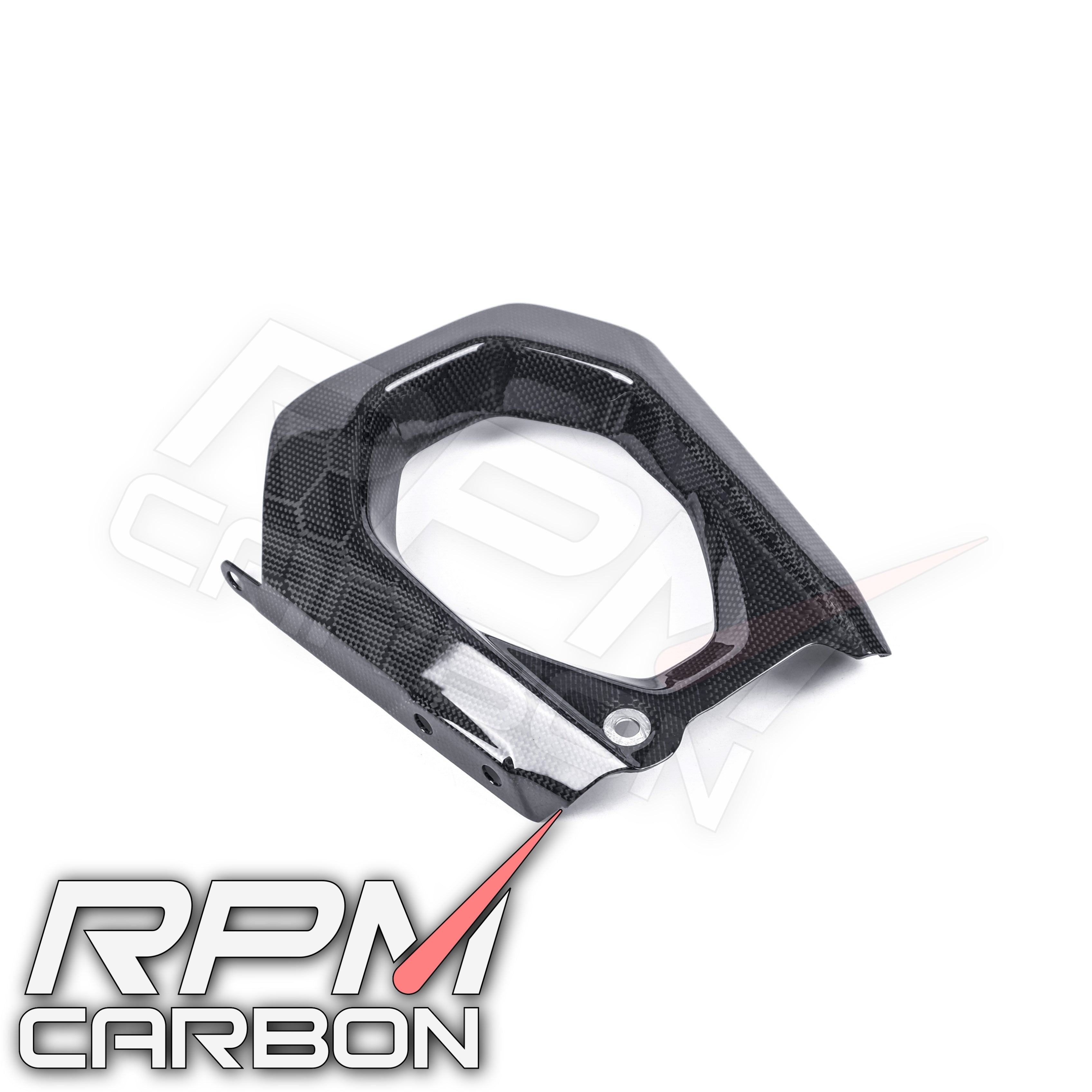 Ducati Panigale V4 Carbon Swingarm Cover Left (DP Version)