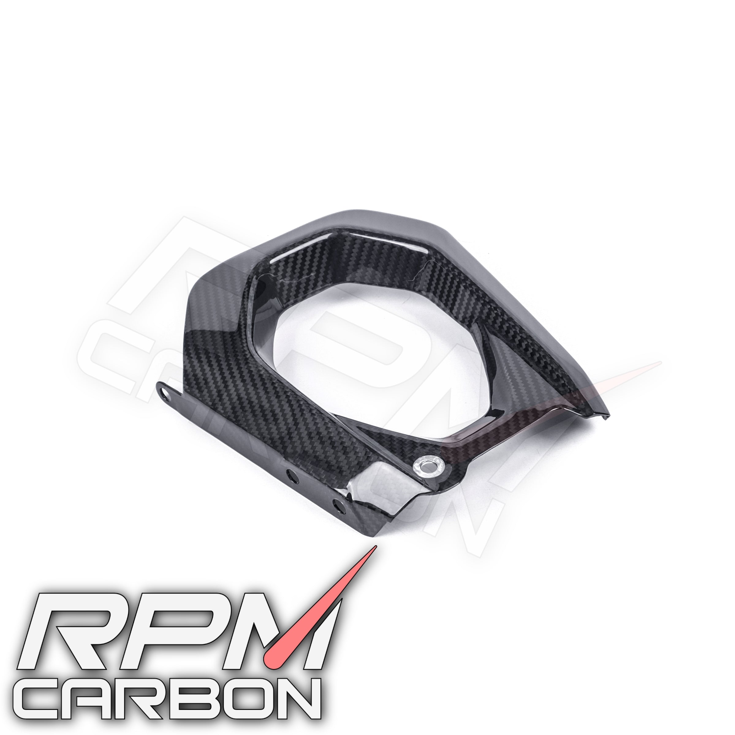 Ducati Panigale V4 Carbon Swingarm Cover Left (DP Version)