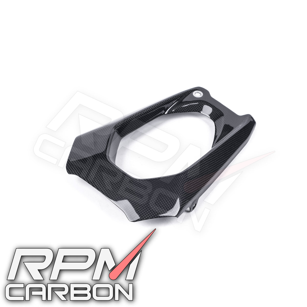 Ducati Panigale V4 Carbon Swingarm Cover Right (DP Version)
