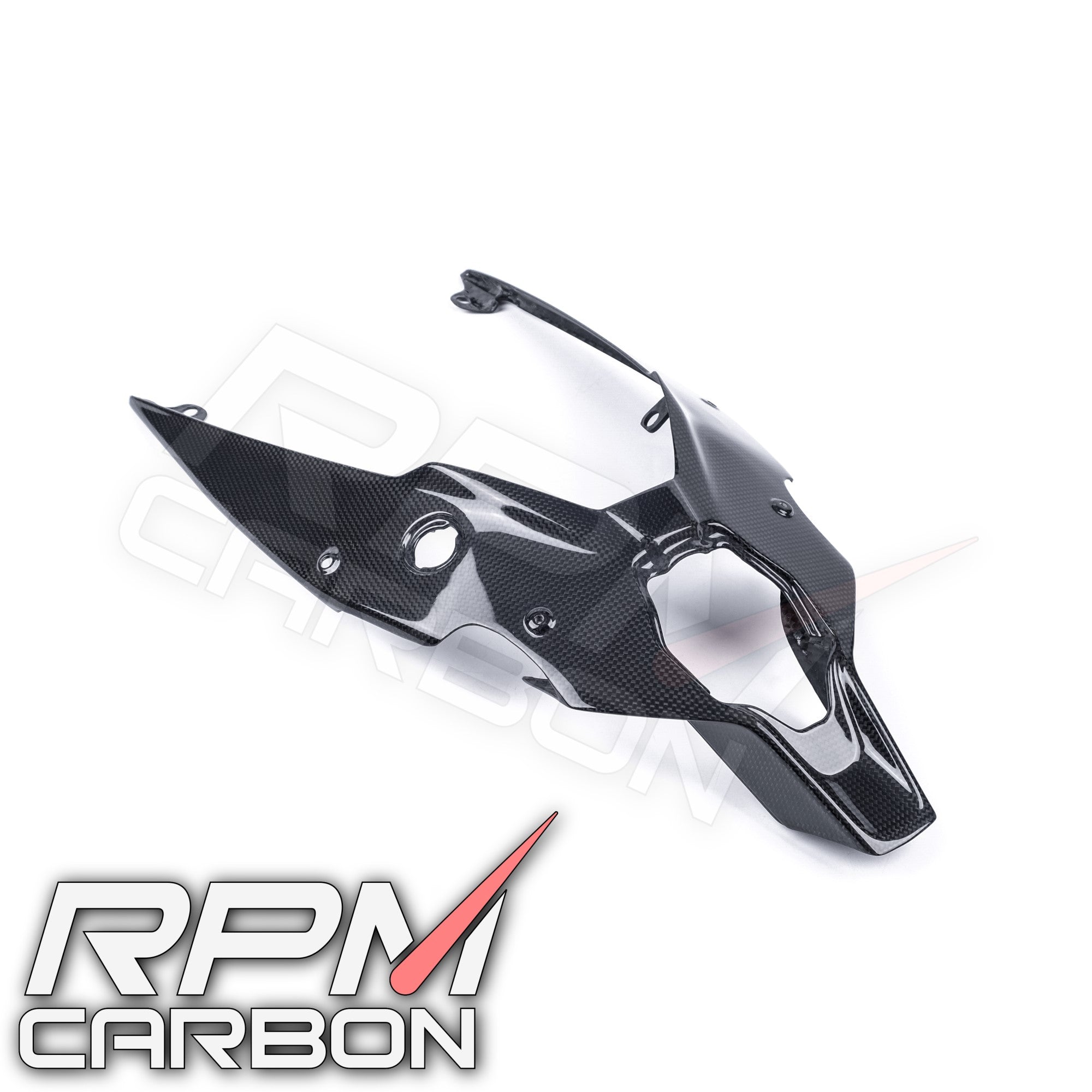 Ducati Streetfighter V4 Carbon Fiber Under Cowl Tail