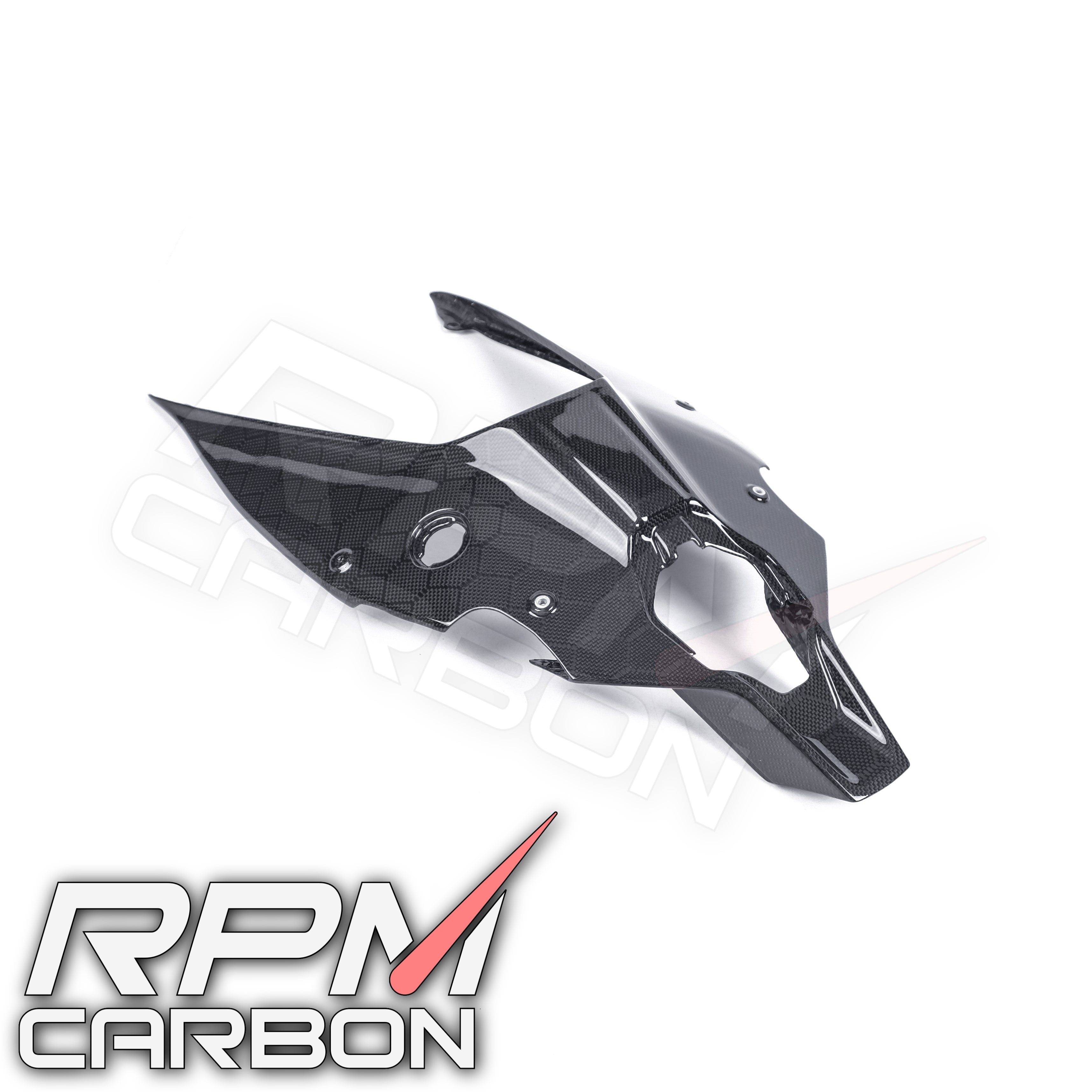 Ducati Panigale V4 Carbon Fiber Under Cowl Tail
