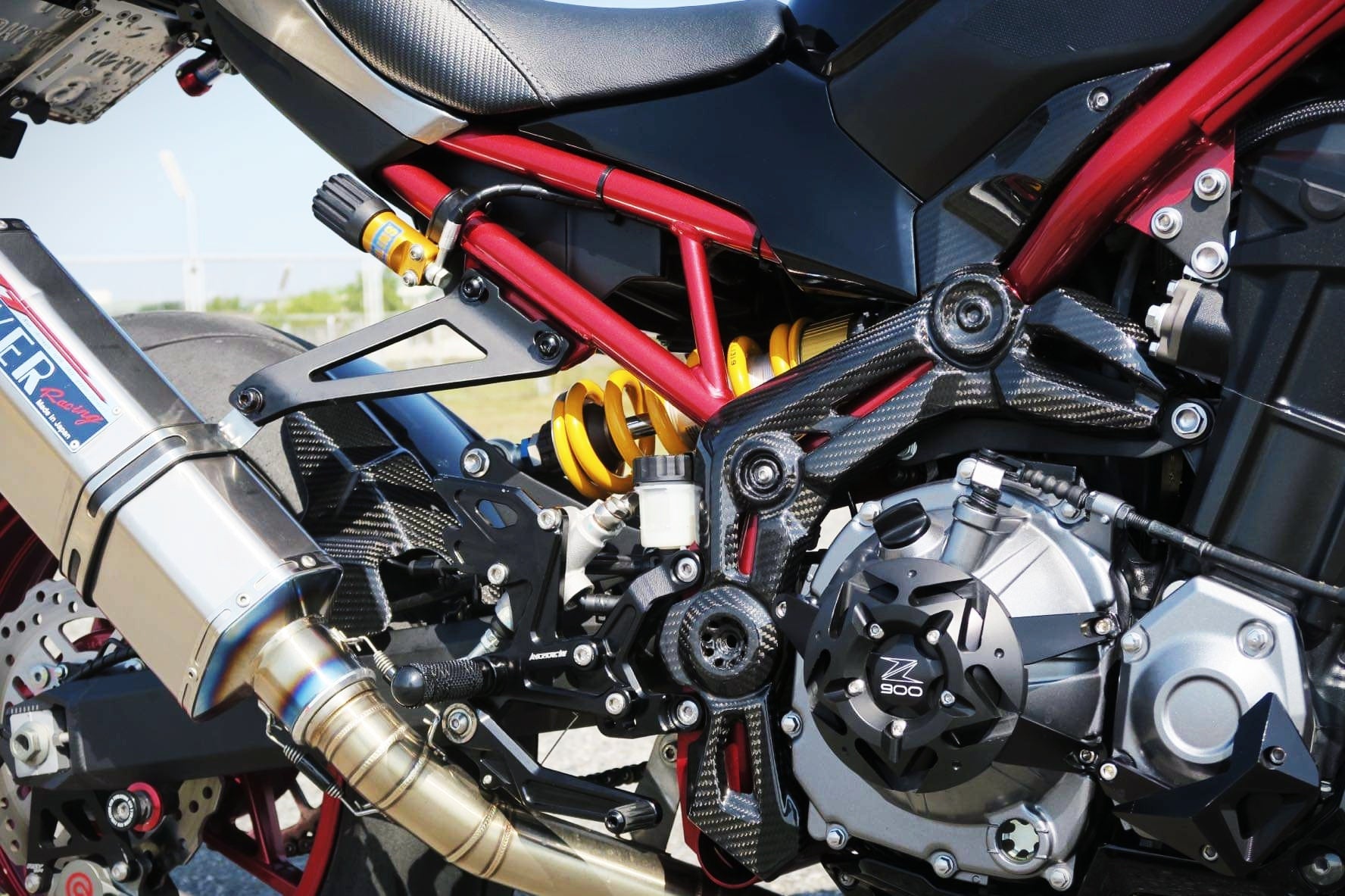 Kawasaki Z900 Carbon Fiber Frame Cover