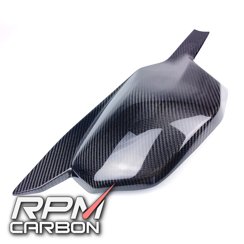 Ducati Streetfighter V4 / V4S Carbon Fiber Swing Arm Cover *SALE*