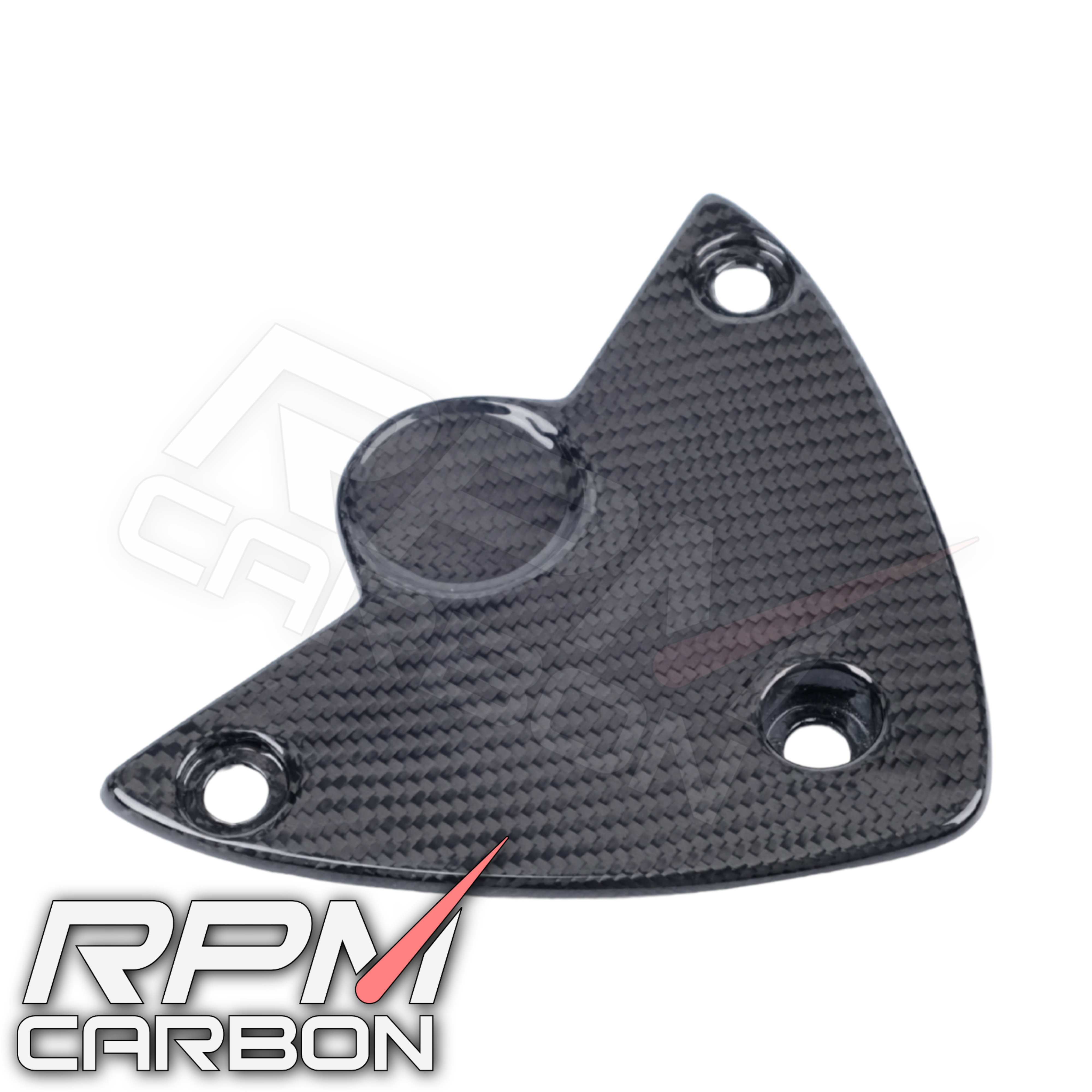 BMW S1000RR / S1000R Carbon Fiber Undertail Cover Fender Eliminator