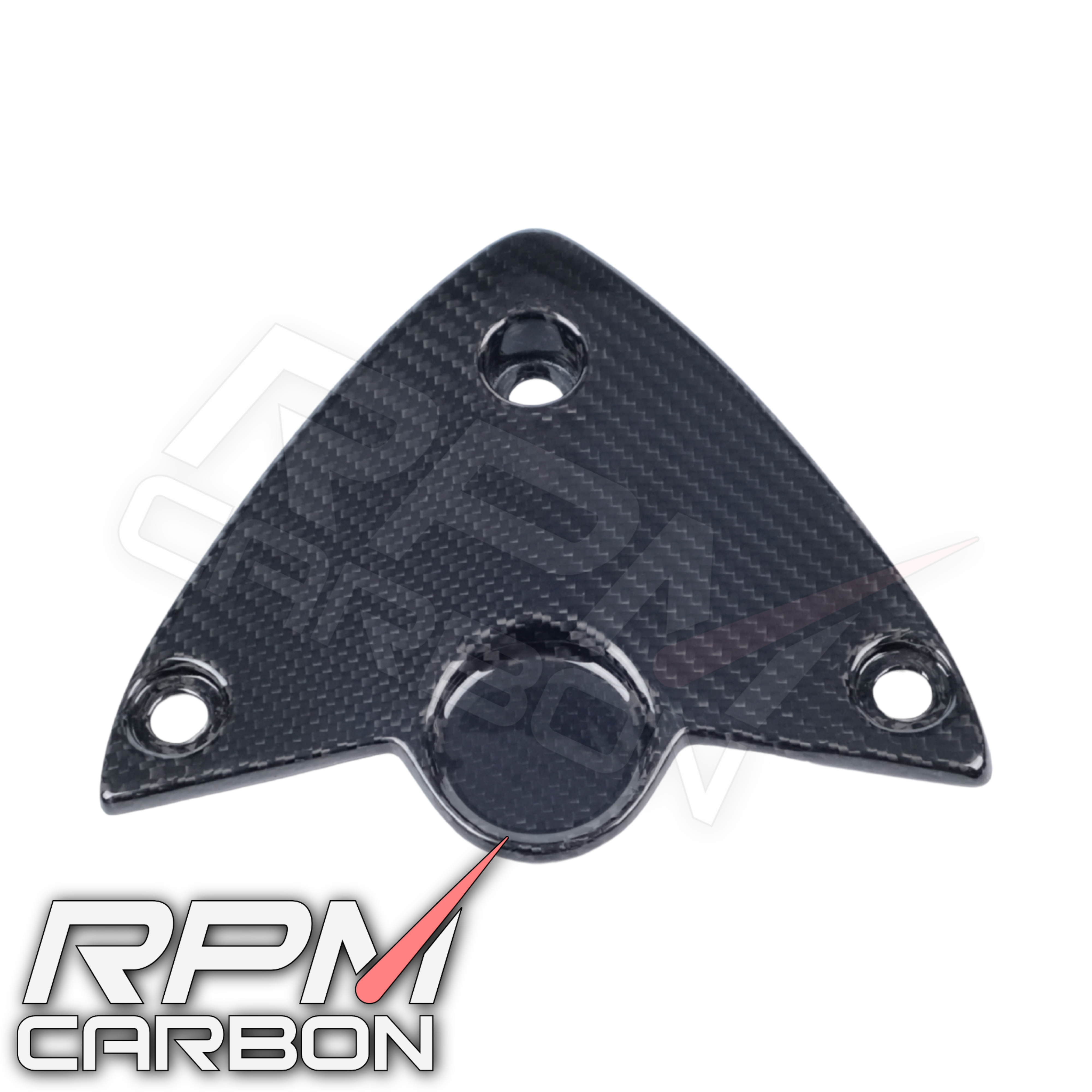BMW S1000RR / S1000R Carbon Fiber Undertail Cover Fender Eliminator