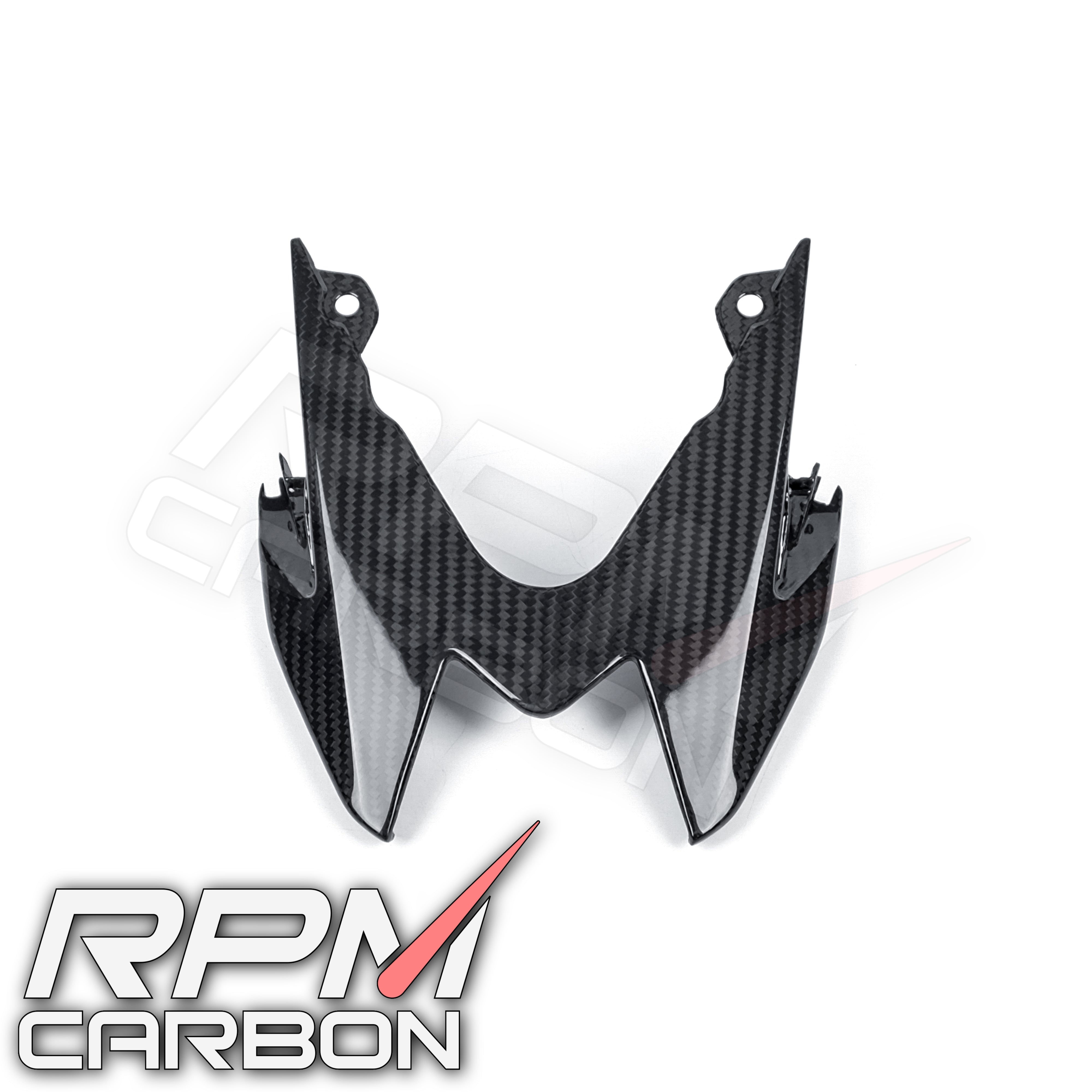 BMW S1000RR S1000R Carbon Fiber Tail Light Cover