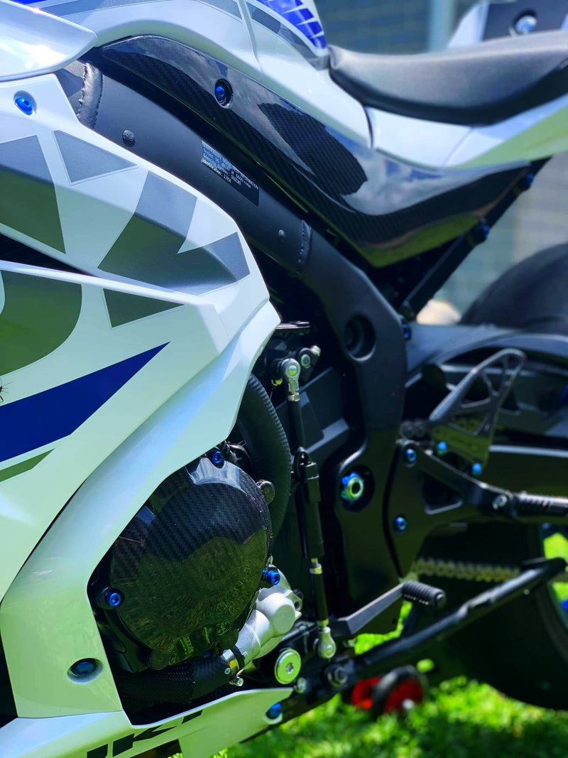 Suzuki GSX-R 1000 2017+ Carbon Fiber Engine Cover Protector
