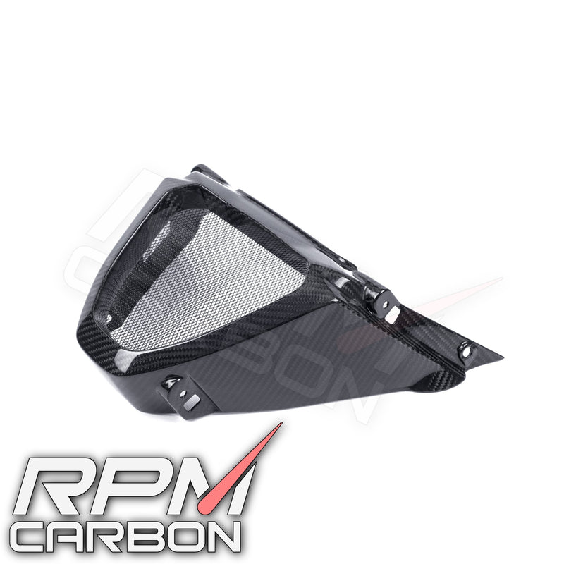 Aprilia RS 660 Carbon Fiber Radiator Guard V-Panel