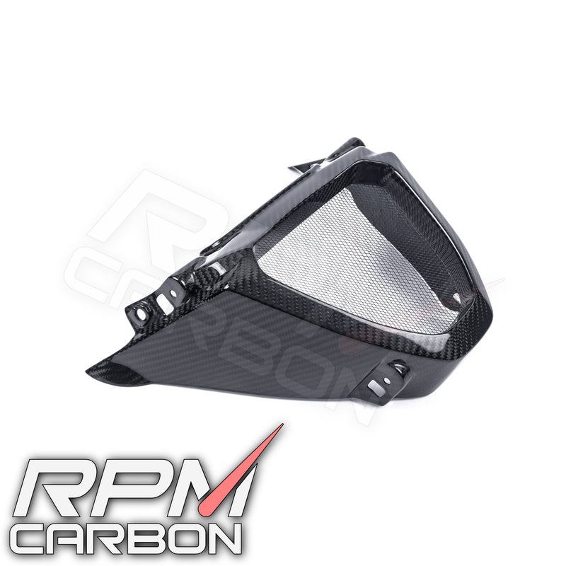 Aprilia RS 660 Carbon Fiber Radiator Guard V-Panel