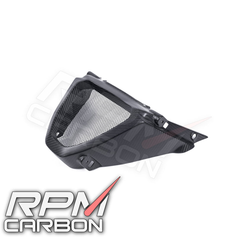 Aprilia RS 660 Carbon Fiber Radiator Guard V-Panel