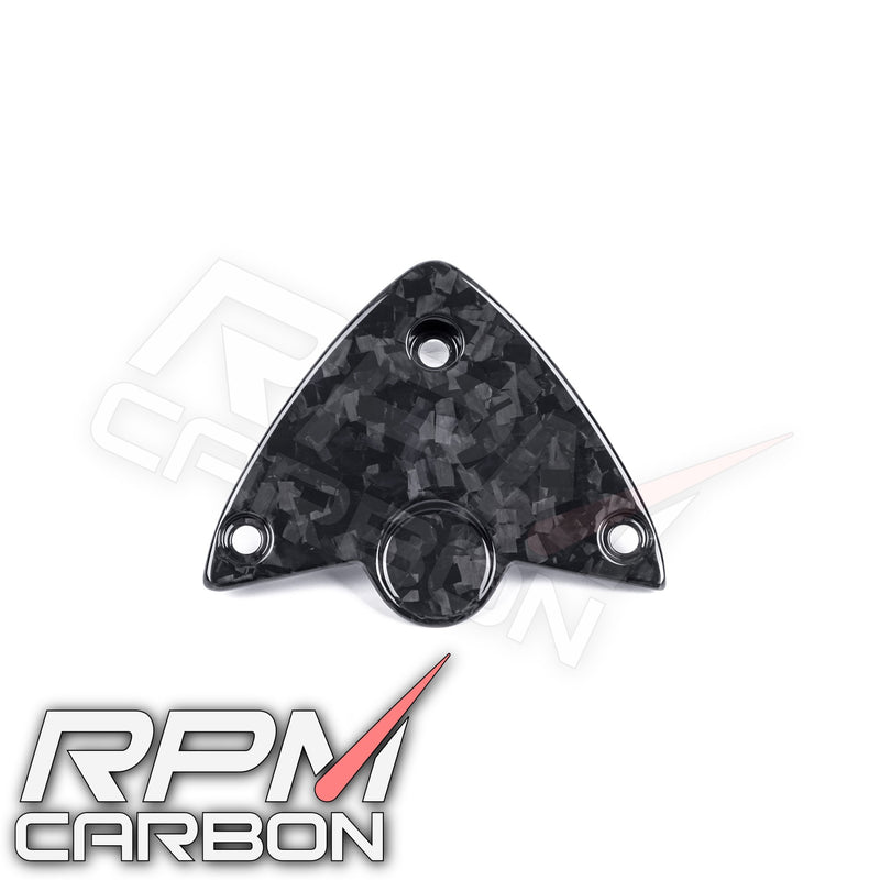 BMW S1000RR / S1000R Carbon Fiber Undertail Cover Fender Eliminator