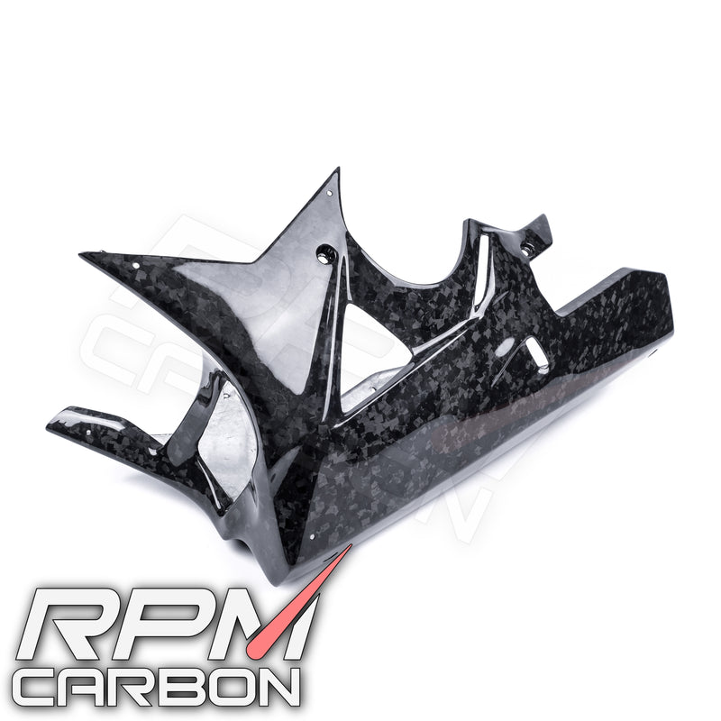 BMW S1000RR HP4 Carbon Fiber Belly Pan Racing