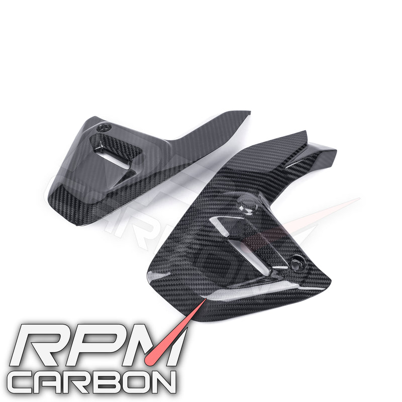 BMW R1300GS Carbon Engine Side Panels