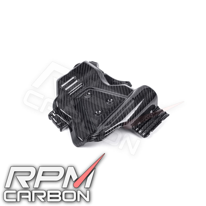 Ducati Hypermotard 698 Carbon Fiber Engine Cover Left