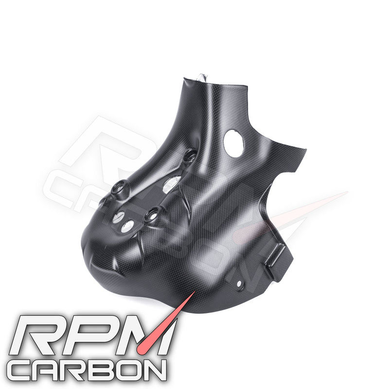 Ducati Panigale 1199R Carbon Fiber Exhaust Cover