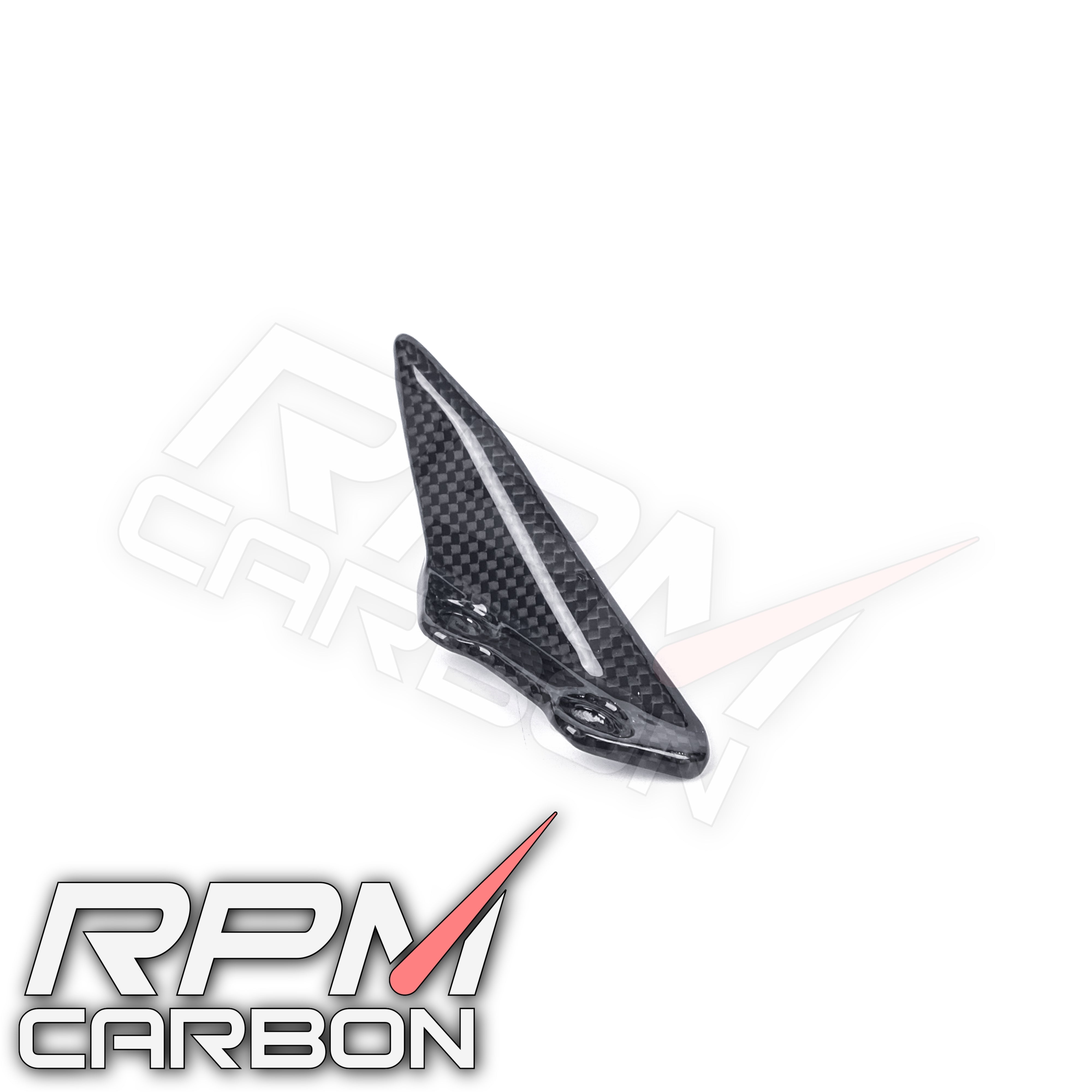 Ducati Panigale V4 / Streetfighter V4 Carbon-Kettenradabdeckung hinten
