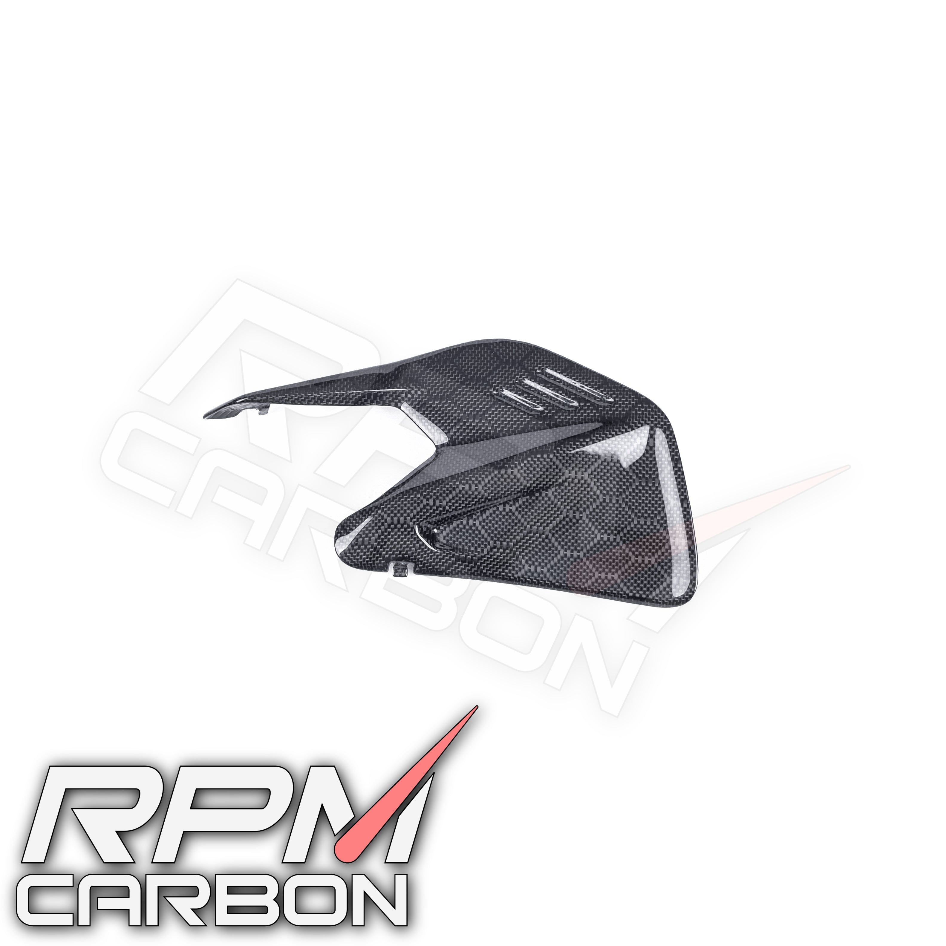 Ducati Panigale V4 / Streetfighter V4 Carbon Swingarm Infill