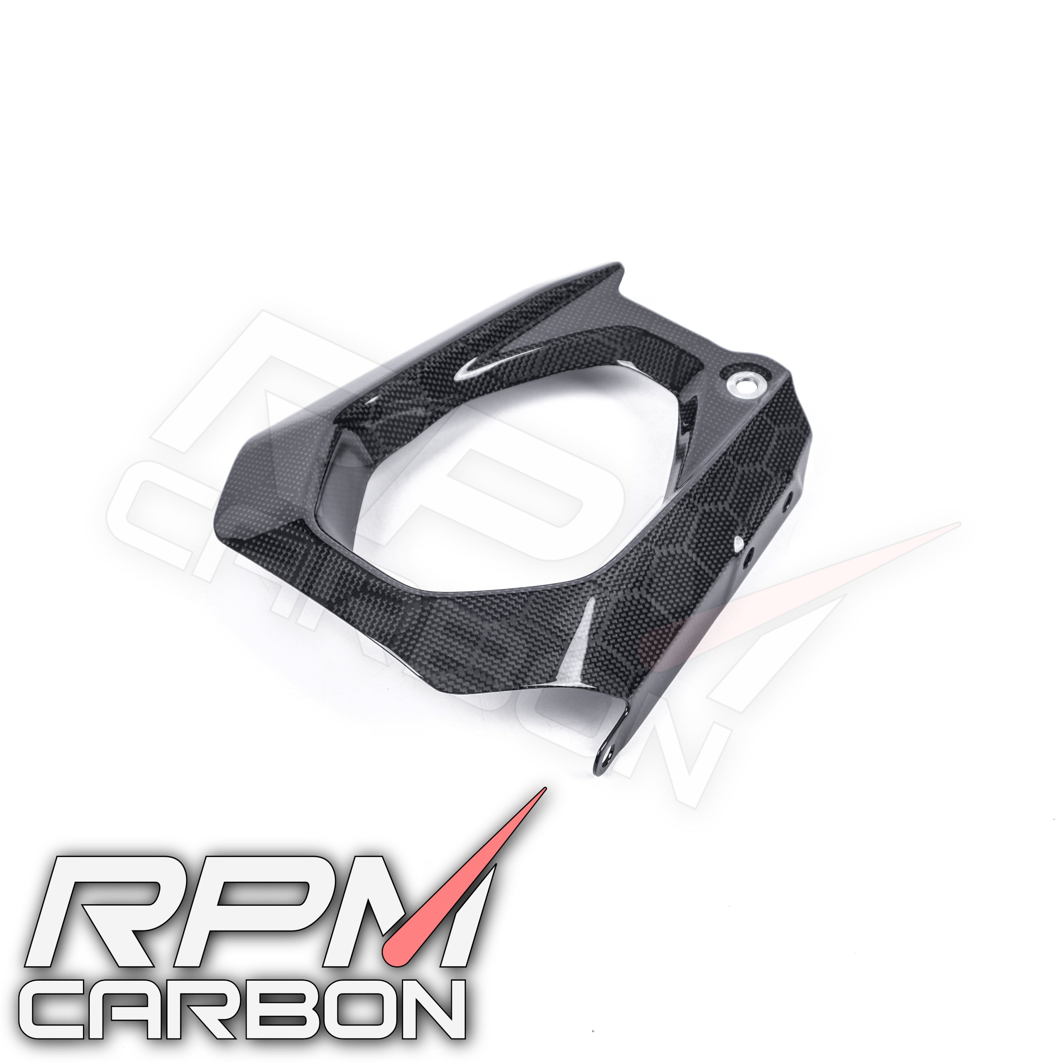 Ducati Panigale V4 Carbon Swingarm Cover Left (DP Version)