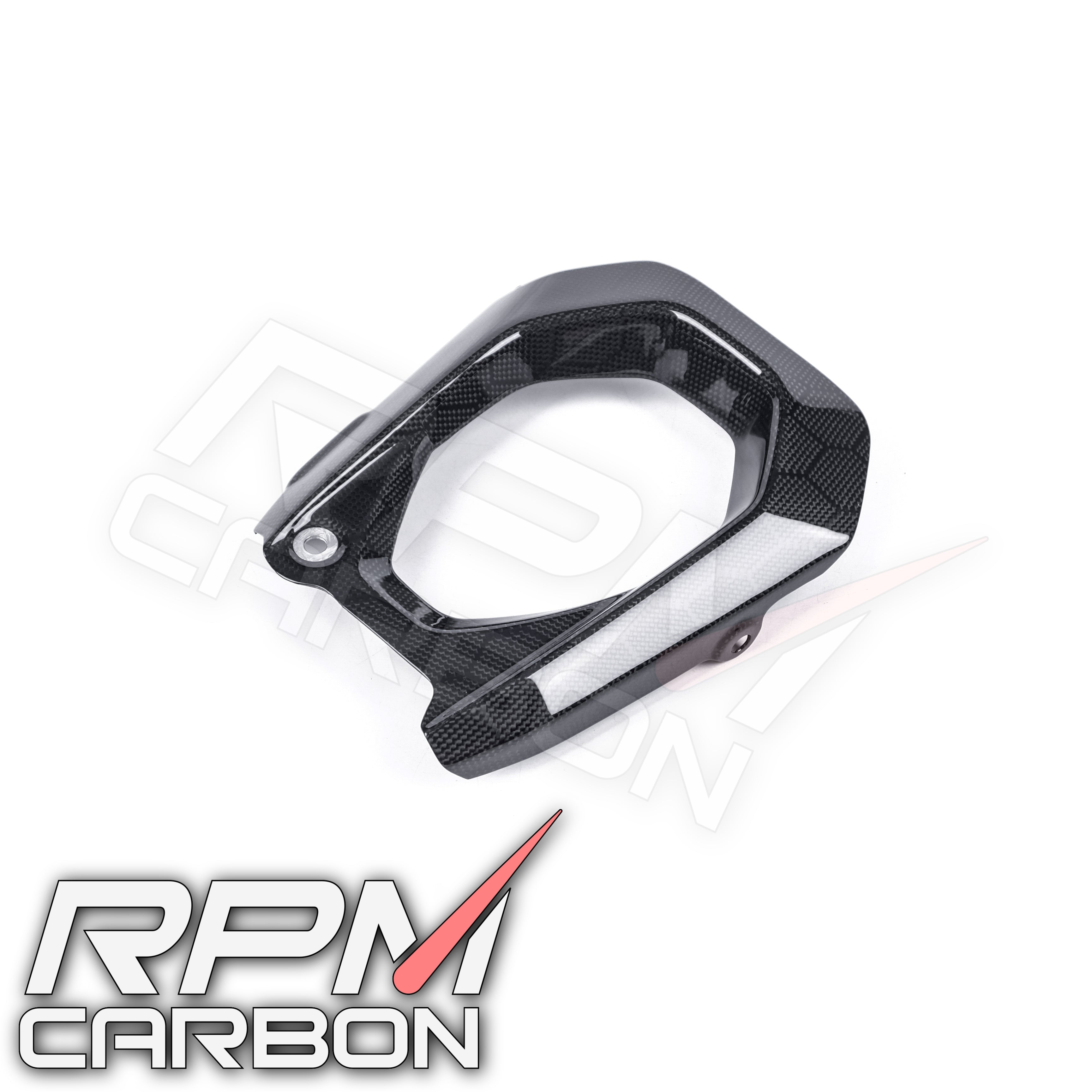 Ducati Panigale V4 Carbon Swingarm Cover Left (DP Version)