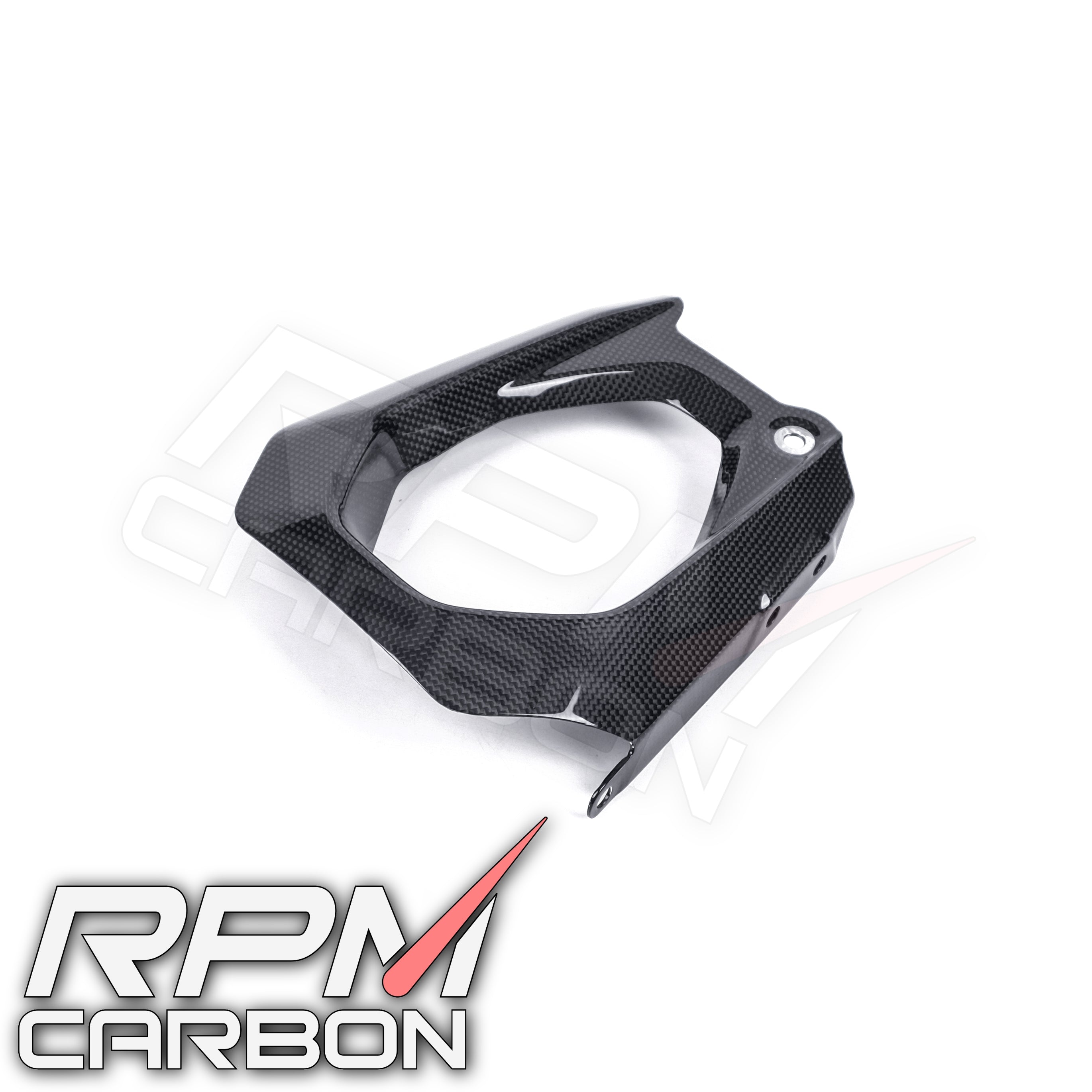 Ducati Panigale V4 Carbon Swingarm Cover Left (DP Version)