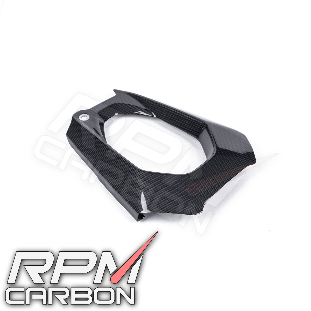 Ducati Panigale V4 Carbon Swingarm Cover Right (DP Version)