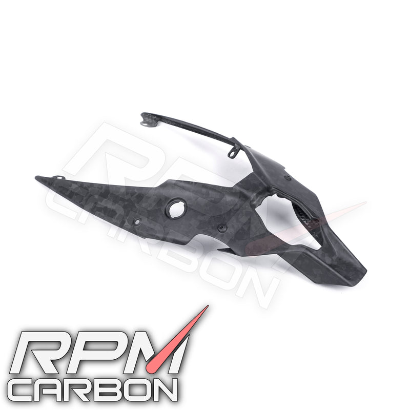 Ducati Streetfighter V4 Carbon Fiber Under Cowl Tail