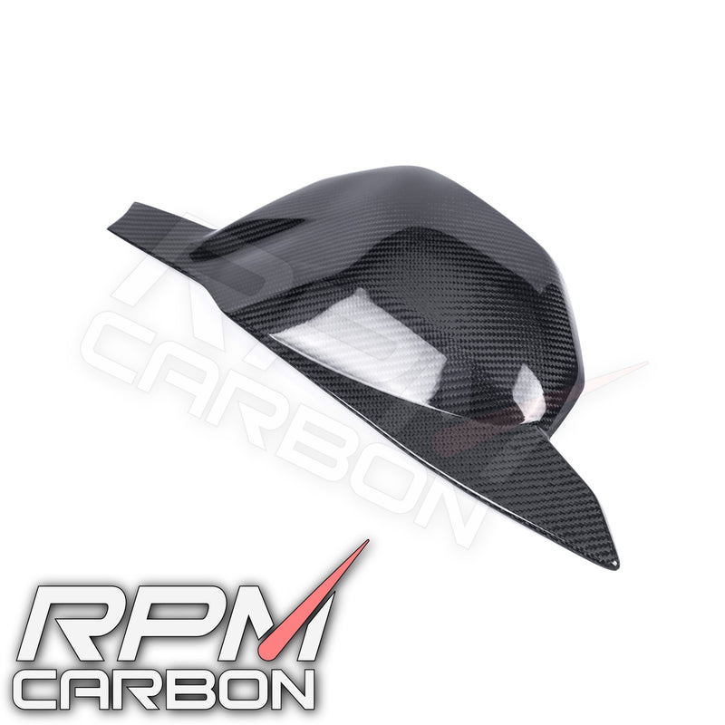 Ducati Streetfighter V4 / V4S Carbon Fiber Swing Arm Cover *SALE*