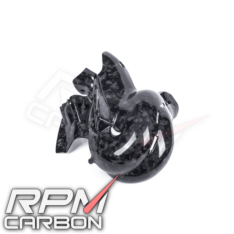 Ducati Panigale/Streetfighter V4 Carbon Fiber Exhaust Cover (EURO 4 Only)