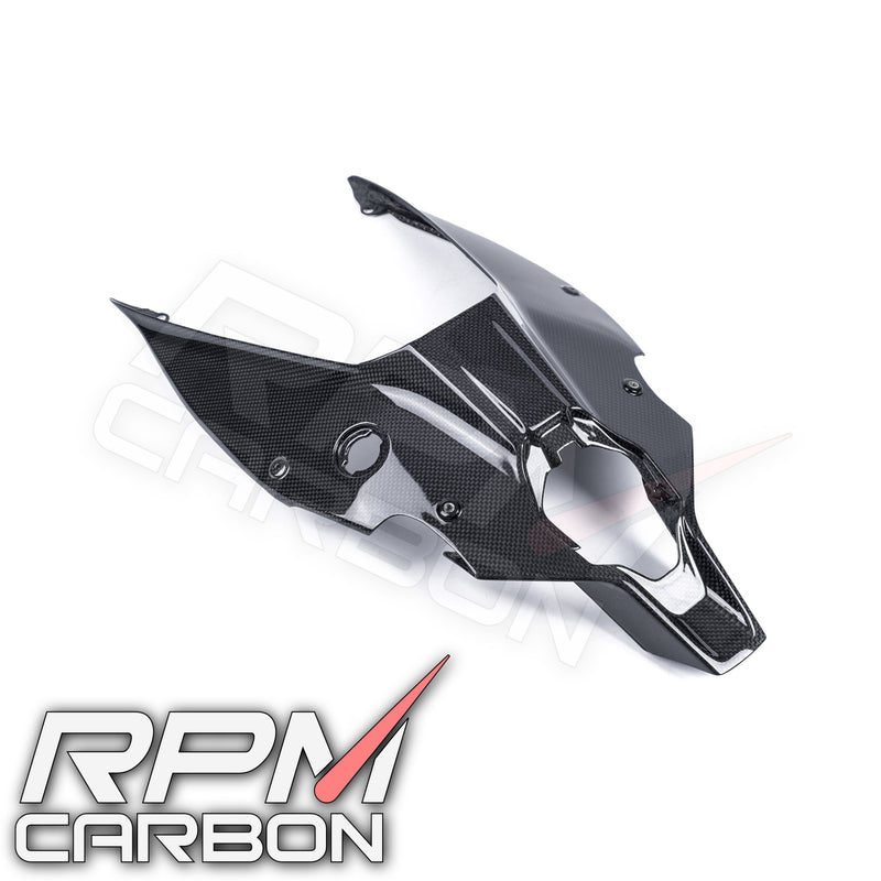 Ducati Panigale V4 Carbon Fiber Under Cowl Tail