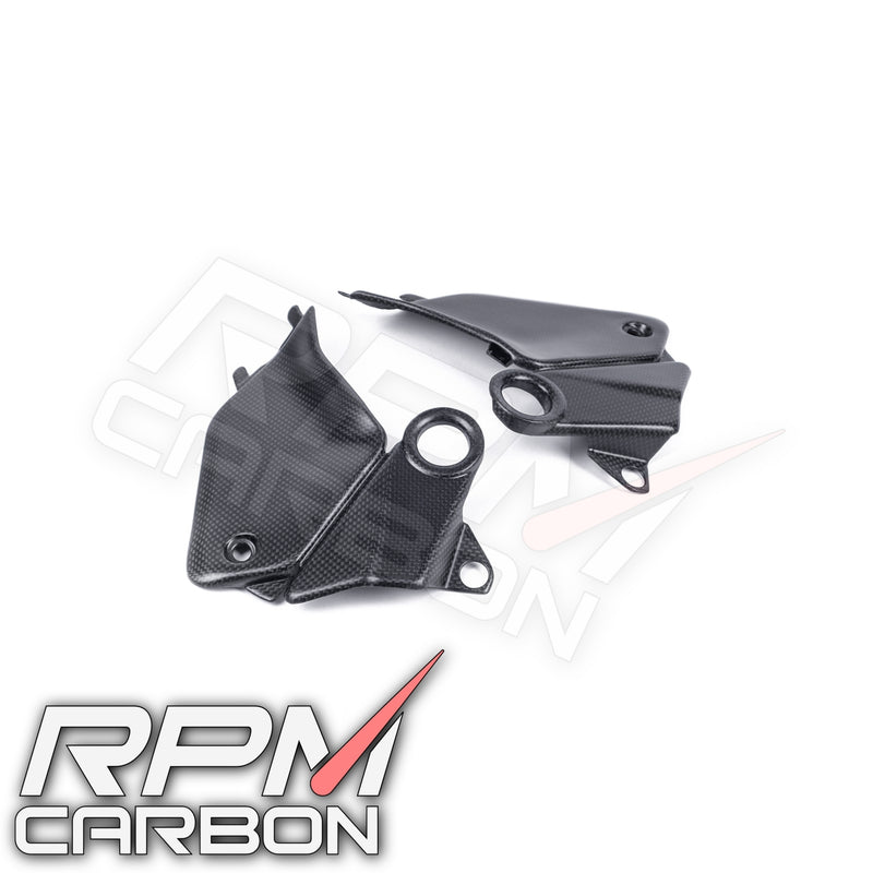 Ducati Panigale V4 / Streetfighter V4 Carbon Tank Side Panels