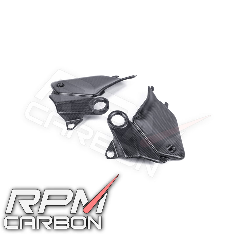 Ducati Panigale V4 / Streetfighter V4 Carbon Tank Side Panels