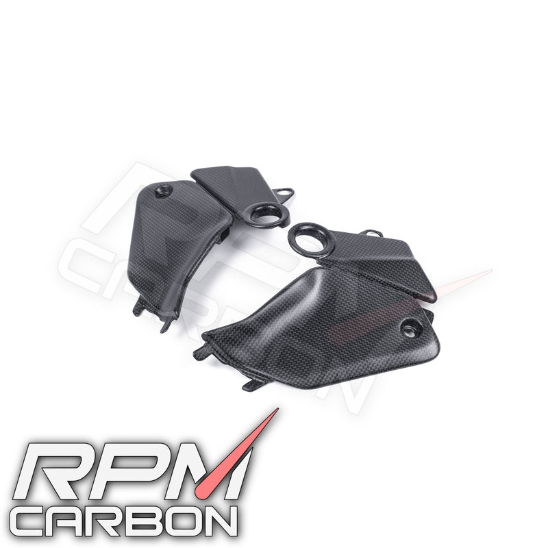 Ducati Panigale V4 / Streetfighter V4 Carbon Tank Side Panels