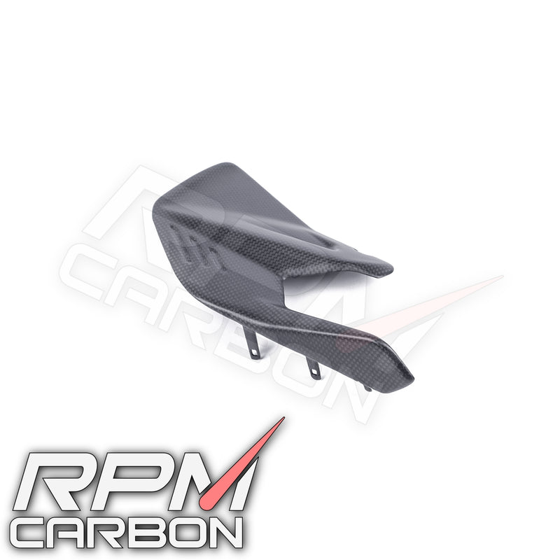 Ducati Panigale V4 / Streetfighter V4 Carbon Swingarm Infill