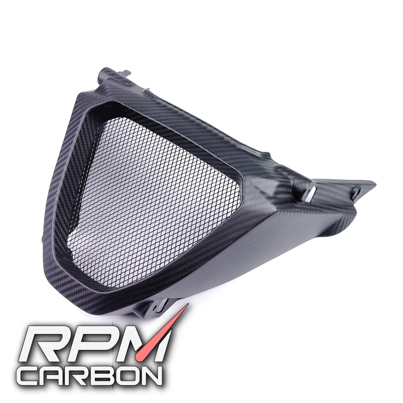 Aprilia RS 660 Carbon Fiber Radiator Guard V-Panel