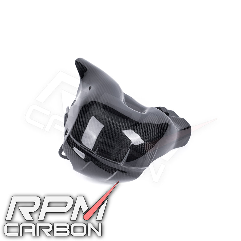 Ducati Panigale/Streetfighter V4 Carbon Fiber Exhaust Cover (EURO 5 Only)
