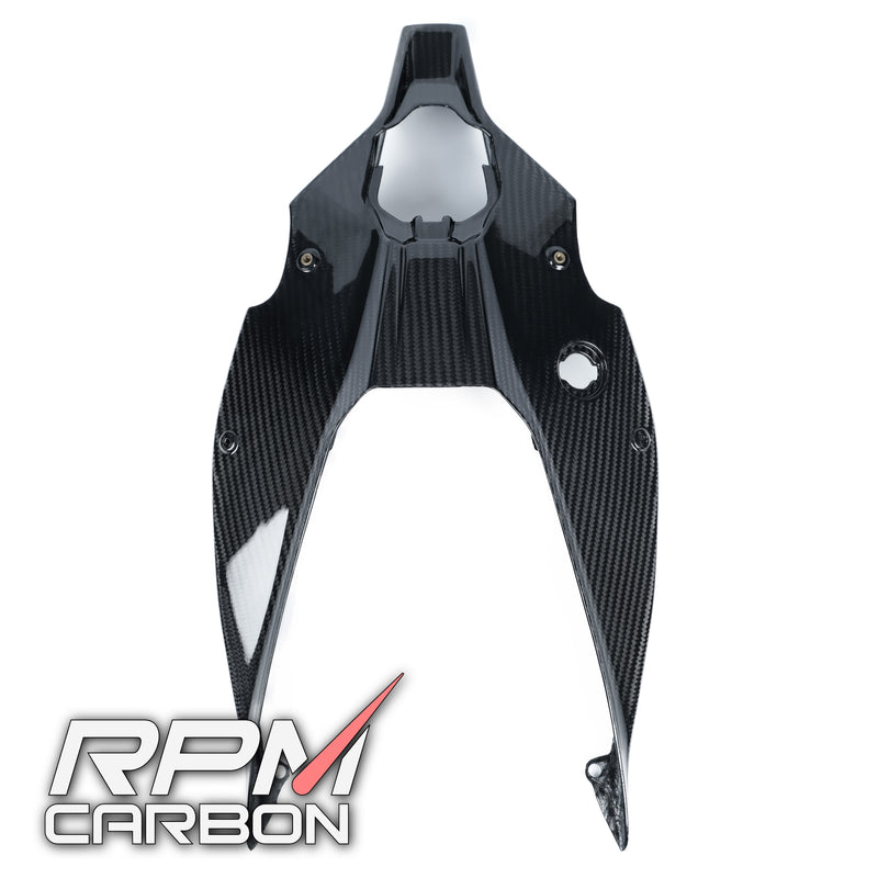 Ducati Panigale V4 Carbon Fiber Under Cowl Tail